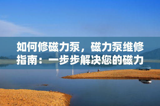 如何修磁力泵，磁力泵维修指南：一步步解决您的磁力泵问题