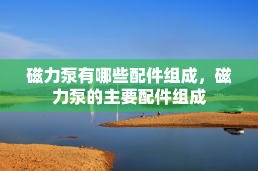 磁力泵有哪些配件组成，磁力泵的主要配件组成