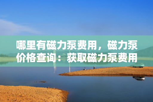 哪里有磁力泵费用，磁力泵价格查询：获取磁力泵费用的途径和指南