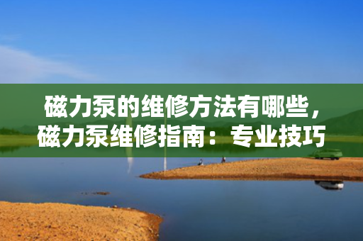 磁力泵的维修方法有哪些，磁力泵维修指南：专业技巧与步骤解析