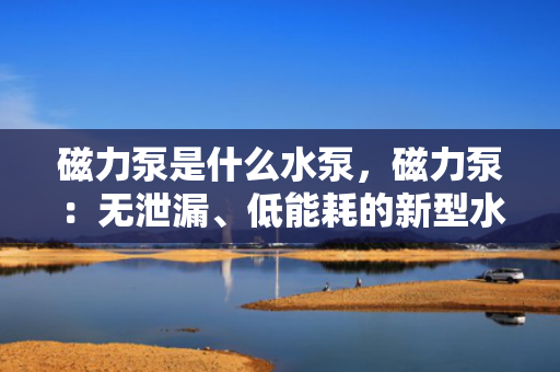 磁力泵是什么水泵，磁力泵：无泄漏、低能耗的新型水泵技术解析