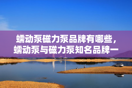 蠕动泵磁力泵品牌有哪些，蠕动泵与磁力泵知名品牌一览