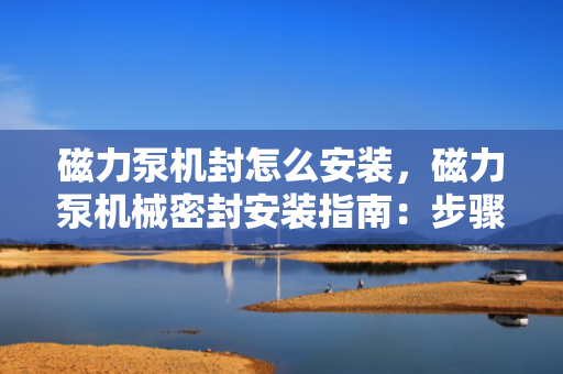 磁力泵机封怎么安装，磁力泵机械密封安装指南：步骤详解