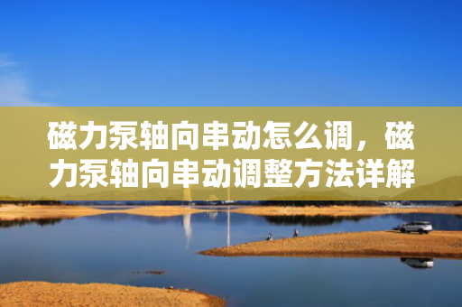 磁力泵轴向串动怎么调，磁力泵轴向串动调整方法详解