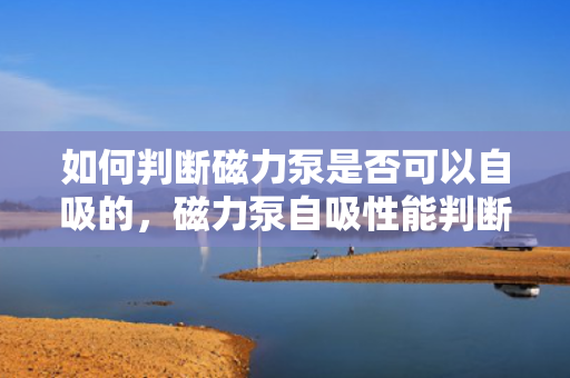 如何判断磁力泵是否可以自吸的，磁力泵自吸性能判断方法