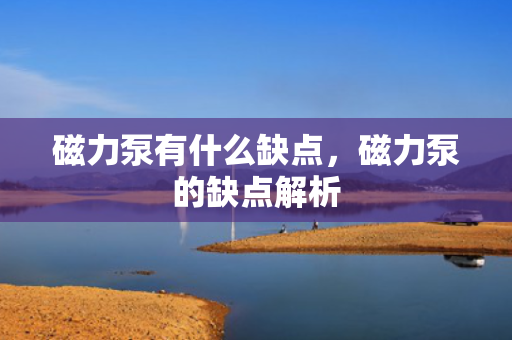磁力泵有什么缺点，磁力泵的缺点解析