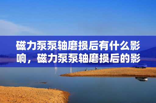磁力泵泵轴磨损后有什么影响，磁力泵泵轴磨损后的影响：性能下降与安全隐患解析