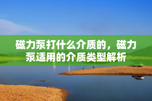 磁力泵打什么介质的，磁力泵适用的介质类型解析