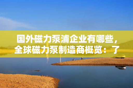 国外磁力泵浦企业有哪些，全球磁力泵制造商概览：了解行业领导者与创新企业