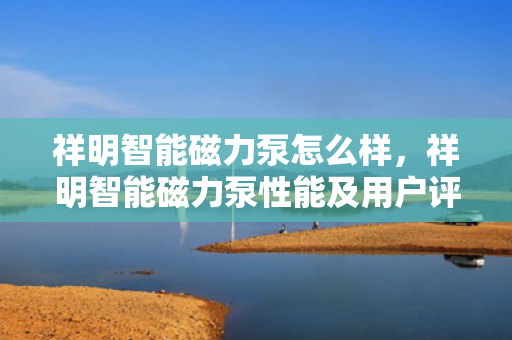 祥明智能磁力泵怎么样，祥明智能磁力泵性能及用户评价综述