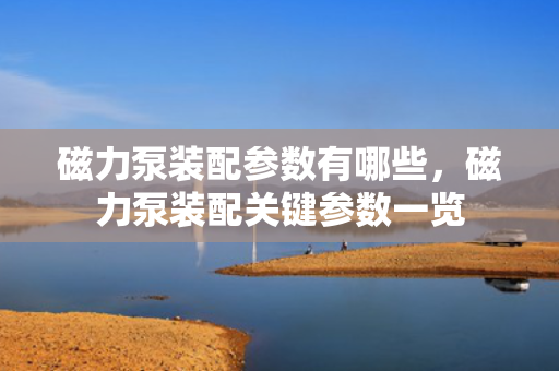 磁力泵装配参数有哪些，磁力泵装配关键参数一览