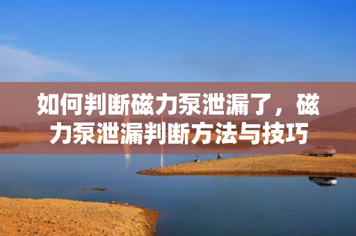 如何判断磁力泵泄漏了，磁力泵泄漏判断方法与技巧