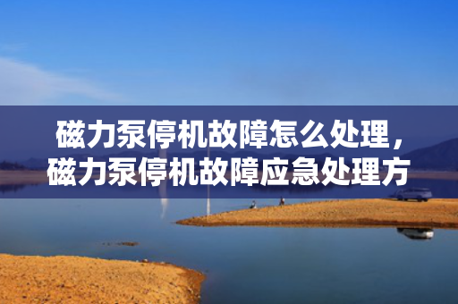 磁力泵停机故障怎么处理，磁力泵停机故障应急处理方案