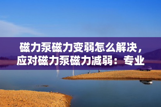 磁力泵磁力变弱怎么解决，应对磁力泵磁力减弱：专业解决方案与技巧