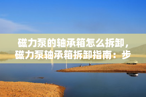 磁力泵的轴承箱怎么拆卸，磁力泵轴承箱拆卸指南：步骤详解与注意事项