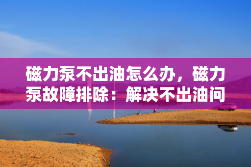 磁力泵不出油怎么办，磁力泵故障排除：解决不出油问题的实用指南