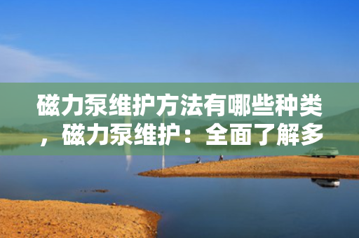 磁力泵维护方法有哪些种类，磁力泵维护：全面了解多元化的维护方法
