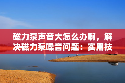 磁力泵声音大怎么办啊，解决磁力泵噪音问题：实用技巧与故障排除指南