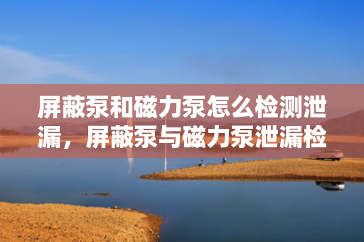 屏蔽泵和磁力泵怎么检测泄漏，屏蔽泵与磁力泵泄漏检测方法详解