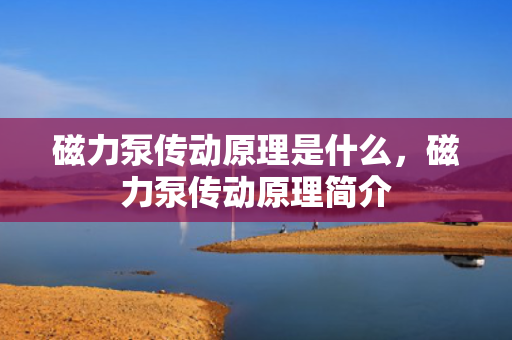 磁力泵传动原理是什么，磁力泵传动原理简介
