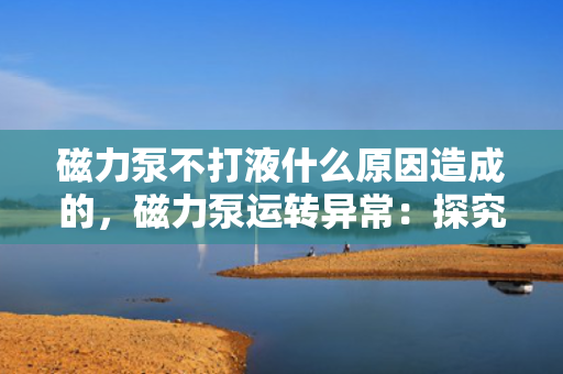 磁力泵不打液什么原因造成的，磁力泵运转异常：探究不打液的原因及解决方案