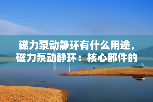 磁力泵动静环有什么用途，磁力泵动静环：核心部件的用途与功能解析