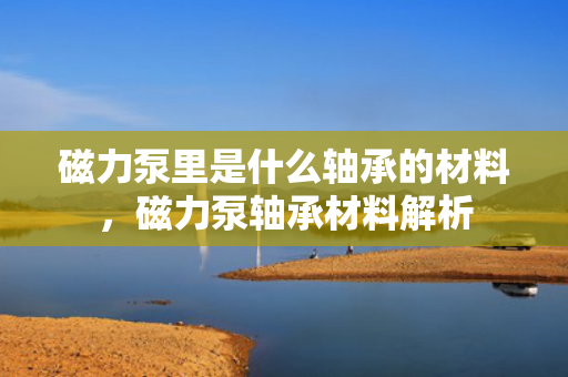 磁力泵里是什么轴承的材料，磁力泵轴承材料解析