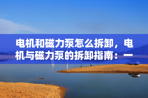 电机和磁力泵怎么拆卸，电机与磁力泵的拆卸指南：一步步教你如何安全有效地进行操作