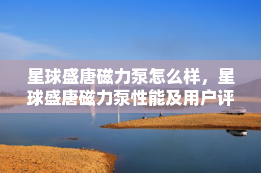 星球盛唐磁力泵怎么样，星球盛唐磁力泵性能及用户评价概览