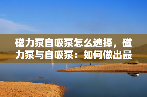 磁力泵自吸泵怎么选择，磁力泵与自吸泵：如何做出最佳选择？