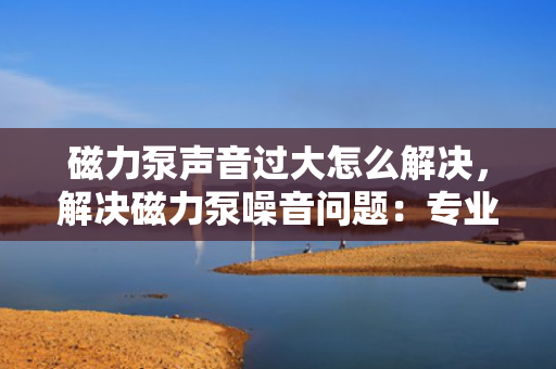磁力泵声音过大怎么解决，解决磁力泵噪音问题：专业技巧与实用方法