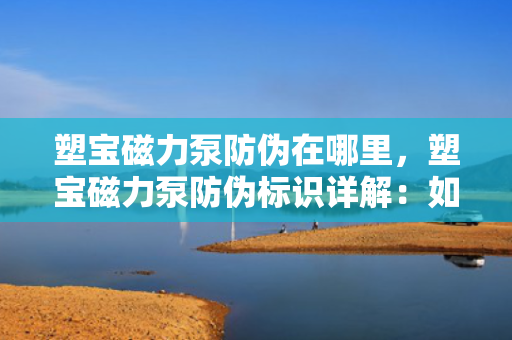 塑宝磁力泵防伪在哪里，塑宝磁力泵防伪标识详解：如何确保购买正品