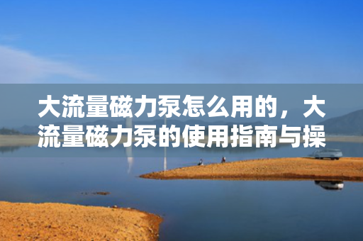 大流量磁力泵怎么用的，大流量磁力泵的使用指南与操作技巧