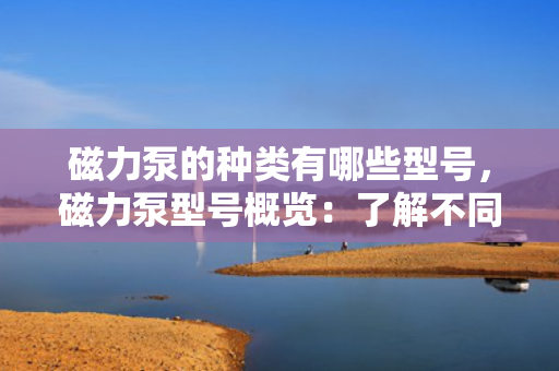 磁力泵的种类有哪些型号，磁力泵型号概览：了解不同类型的磁力驱动泵