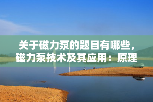 关于磁力泵的题目有哪些，磁力泵技术及其应用：原理、优势与挑战