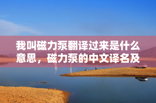 我叫磁力泵翻译过来是什么意思，磁力泵的中文译名及其含义解析