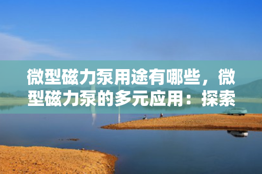 微型磁力泵用途有哪些，微型磁力泵的多元应用：探索其广泛用途