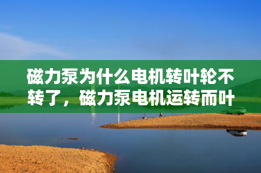 磁力泵为什么电机转叶轮不转了，磁力泵电机运转而叶轮不转：故障解析与解决方案