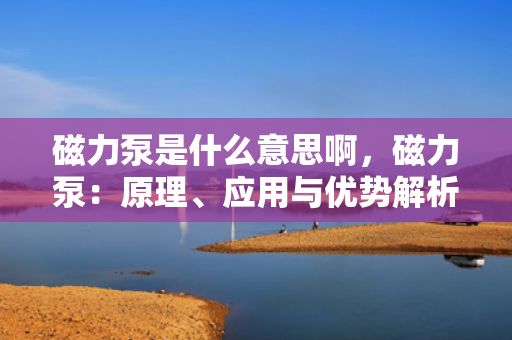 磁力泵是什么意思啊，磁力泵：原理、应用与优势解析