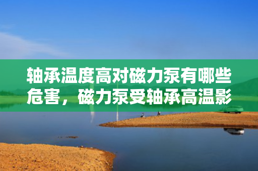 轴承温度高对磁力泵有哪些危害，磁力泵受轴承高温影响：危害与解析