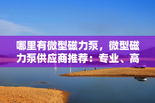 哪里有微型磁力泵，微型磁力泵供应商推荐：专业、高效、可靠的微型磁力泵解决方案