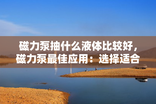 磁力泵抽什么液体比较好，磁力泵最佳应用：选择适合的液体以确保高效抽取
