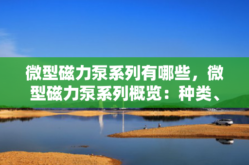 微型磁力泵系列有哪些，微型磁力泵系列概览：种类、特性与应用