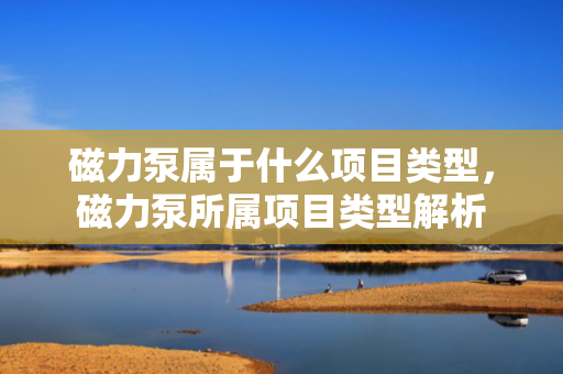 磁力泵属于什么项目类型，磁力泵所属项目类型解析