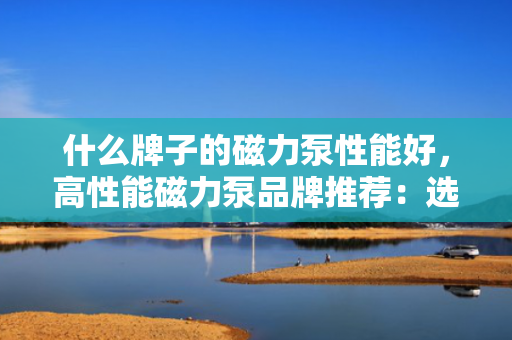 什么牌子的磁力泵性能好，高性能磁力泵品牌推荐：选购指南与专家评价