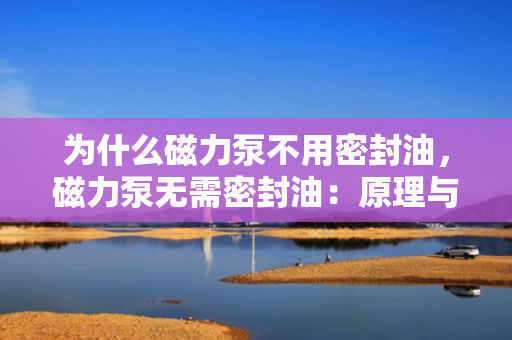为什么磁力泵不用密封油，磁力泵无需密封油：原理与优势解析