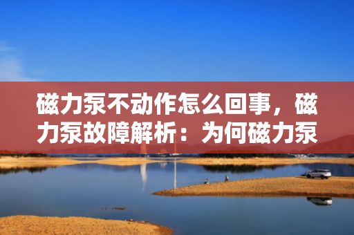 磁力泵不动作怎么回事，磁力泵故障解析：为何磁力泵无法启动及应对措施
