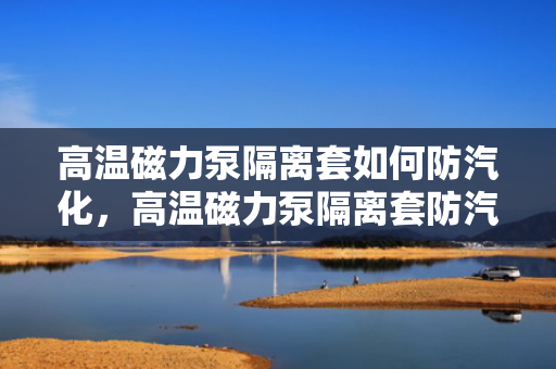 高温磁力泵隔离套如何防汽化，高温磁力泵隔离套防汽化技术解析