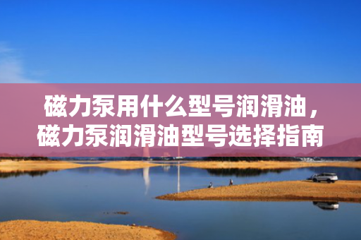 磁力泵用什么型号润滑油，磁力泵润滑油型号选择指南