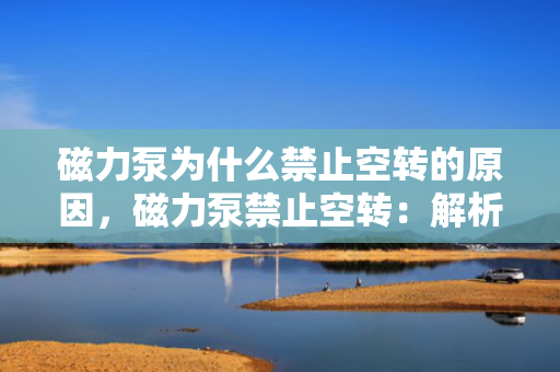 磁力泵为什么禁止空转的原因，磁力泵禁止空转：解析背后的原因与影响